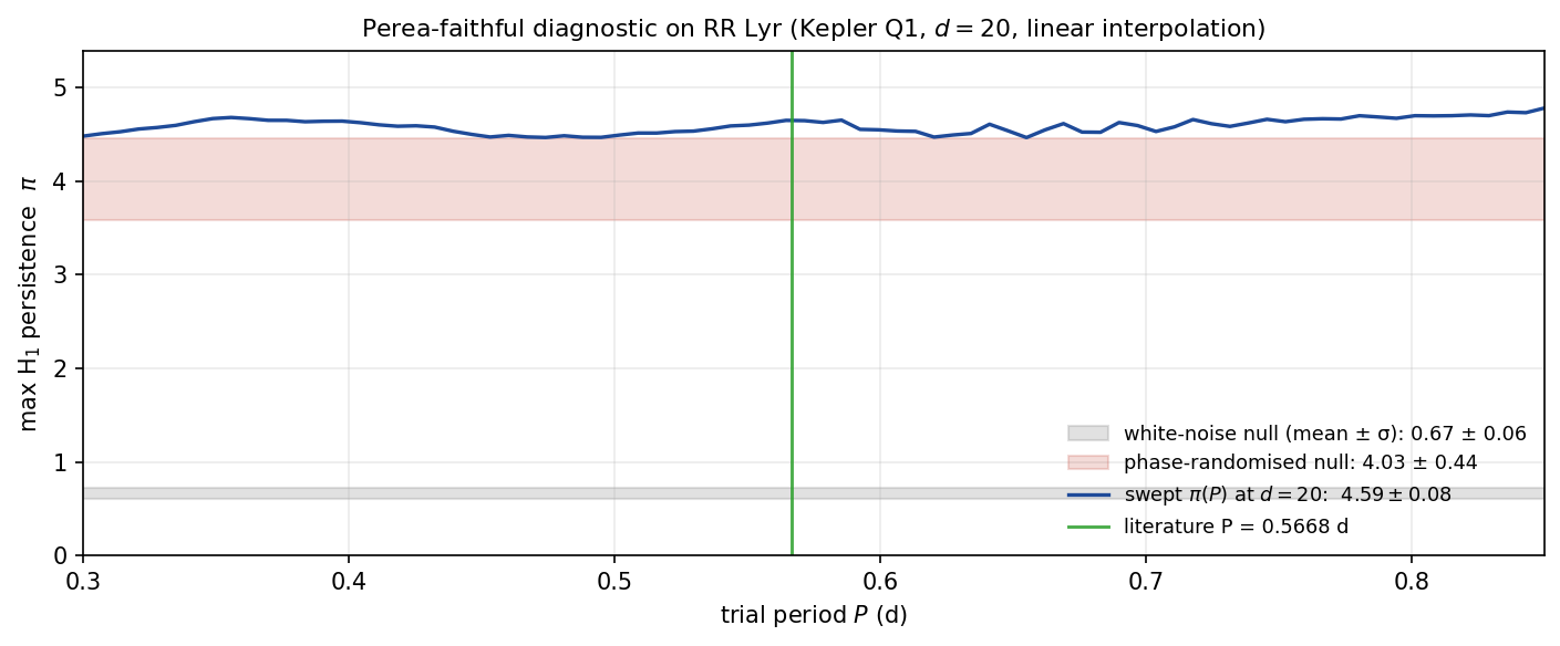 Perea-faithful diagnostic on RR Lyr Kepler Q1 photometry at d=20. Blue curve is mp1 swept across 80 trial periods, essentially flat at 4.59 plus or minus 0.08. Pink band is the phase-randomised null at 4.03 plus or minus 0.44. Grey band is the white-noise null at 0.67 plus or minus 0.06. The literature period (green) sits in the flat region with no special peak.